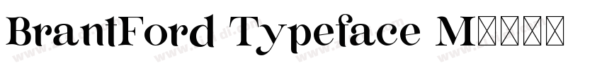 BrantFord Typeface M字体转换